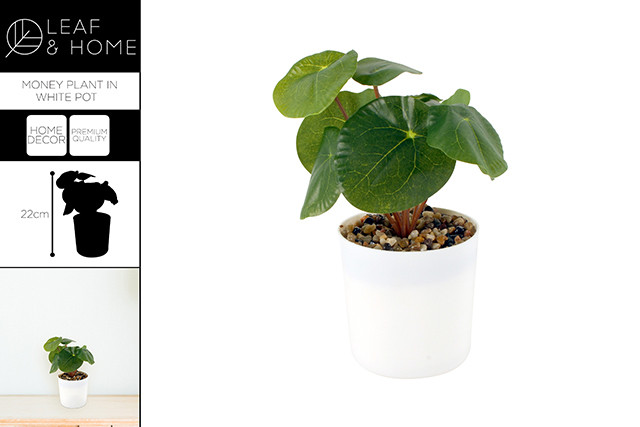 22CM MONEY PLANT IN WHITE POT FAUX