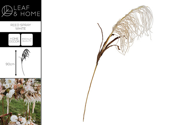 REED SPRAY WHITE 90CM 