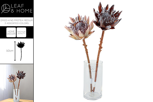 FAUX DRIED KING PROTEA MEDIUM 2 ASST CLRS 50CM