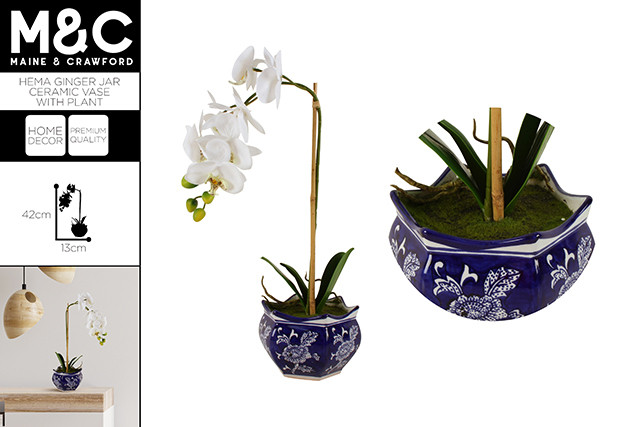 POTTED ORCHID 52X13CM IN HEMA GINGER POT