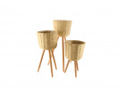 PLANTER STAND 3 PC LINED BEECH 68X26CM LGE