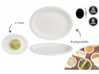 6PK OVAL PLATE ECO 31CM 